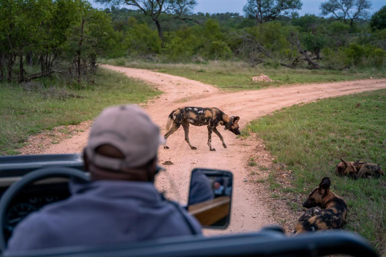 Thornybush Game Lodge Khu bảo tồn Khu bảo tồn Thornybush Game Reserve Ngoại thất bức ảnh